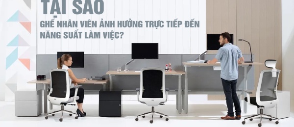 Vì Sao Ghế Nhân Viên Ảnh Hưởng Trực Tiếp Đến Năng Suất Làm Việc?